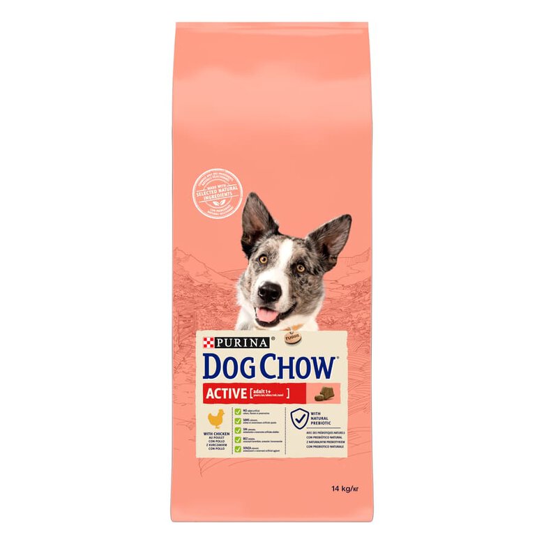 Dog Chow Active ração para cães , , large image number null